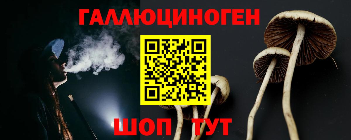 Галлюциногенные грибы ЛСД Алейск